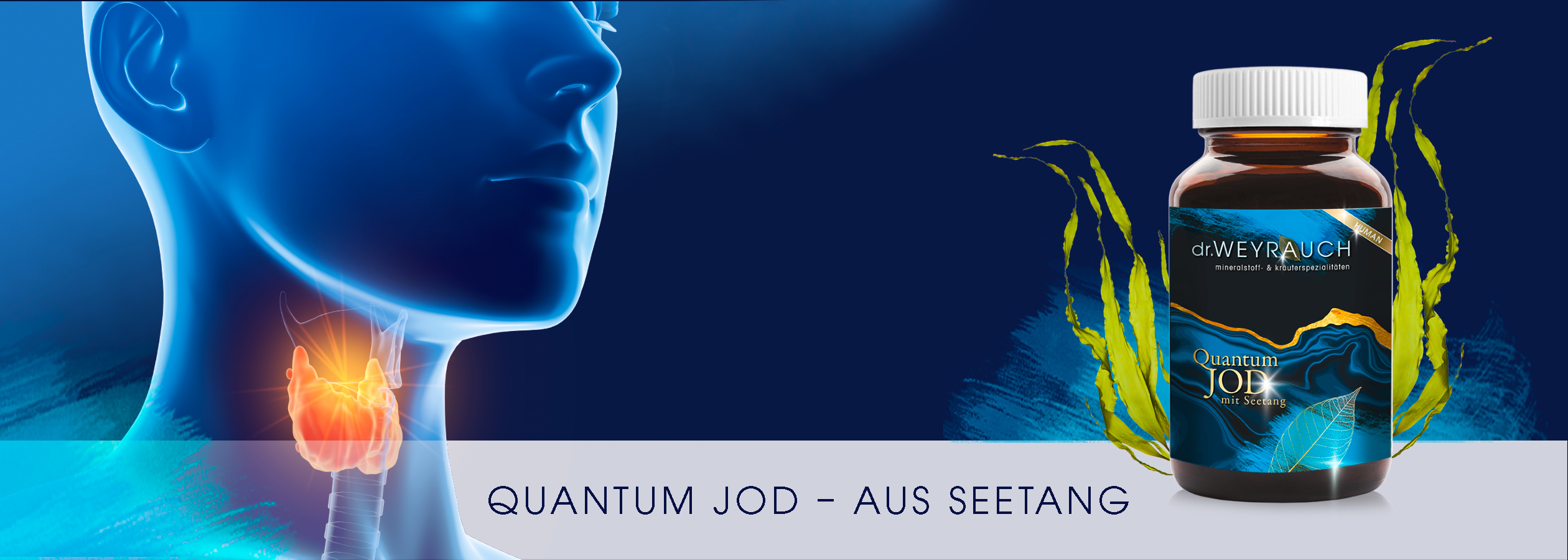 Kopfgrafik mit Quantum Jod Produktbild